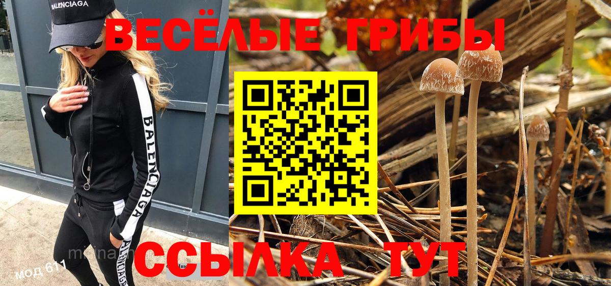 КОКАИН  Каннабис  Экстази  ГЕРОИН  Заволжье  ГАШ  МЕФ кристаллы  МДМА  Вход с VPN  Лсд 25  Меф  Продажа наркотиков  Codein 