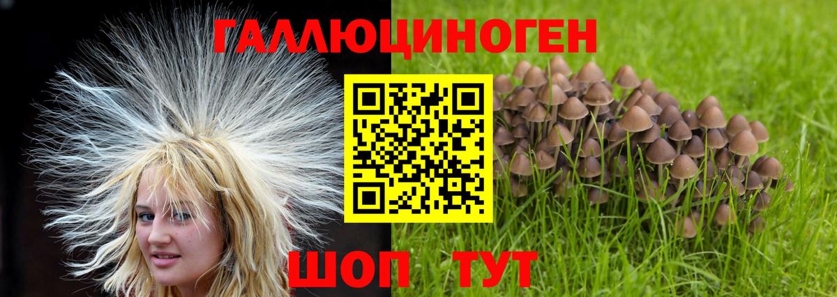 Заволжье  Псилоцибиновые грибы GOLDEN TEACHER  как найти закладки  Псилоцибиновые грибы мухоморы  Вход с VPN 
